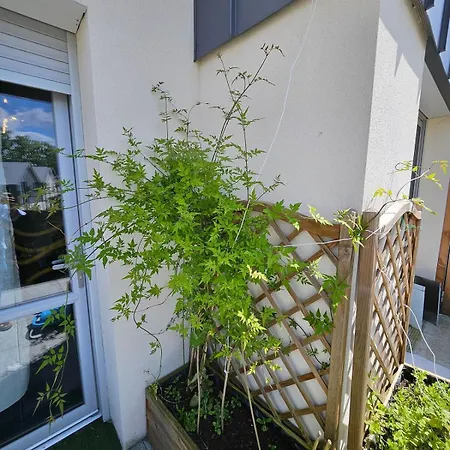 Cozy Family * 昂热