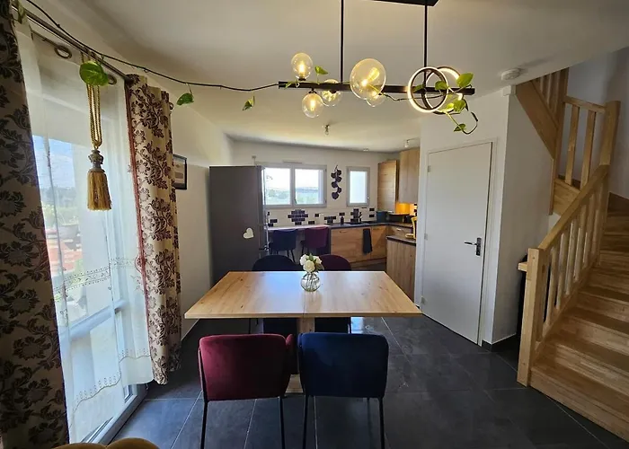 Cozy Family 公寓 昂热