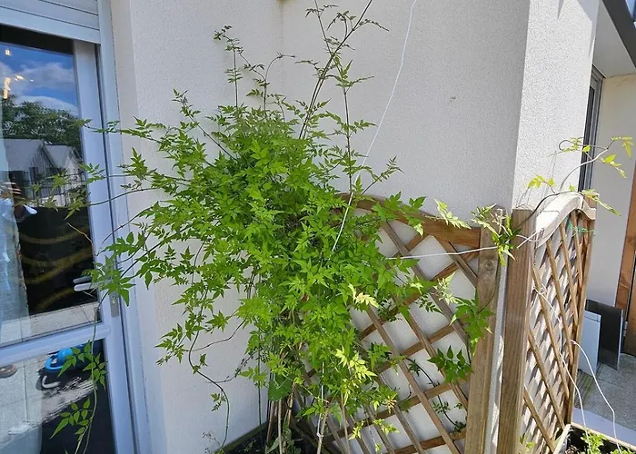 Cozy Family * 昂热