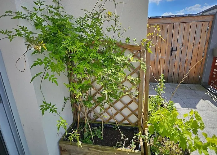 Appartement Cozy Family Angers